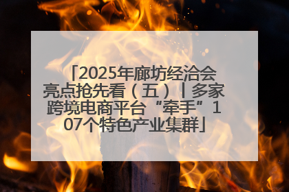 2025年廊坊经洽会亮点抢先看（五）丨多家跨境电商平台“牵手”107个特色产业集群